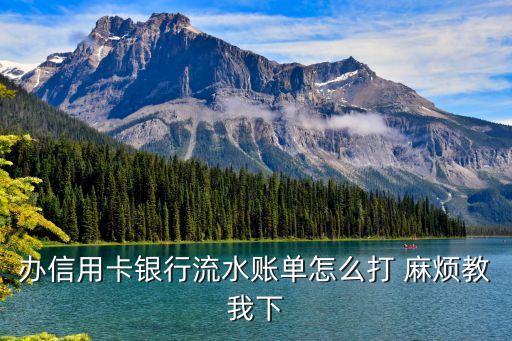 辦信用卡銀行流水賬單怎么打 麻煩教我下