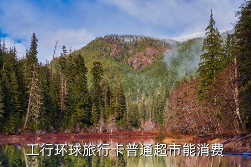 工行環(huán)球旅行卡普通超市能消費(fèi)