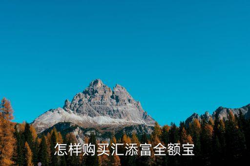 匯添富26日保本基金怎么買，基金怎么買