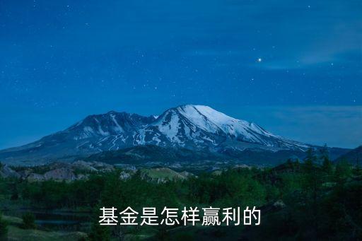 基金是怎么賺錢，基金是怎么賺錢的呢