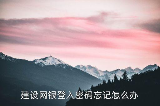 建設(shè)網(wǎng)銀登入密碼忘記怎么辦