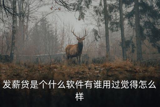發(fā)薪貸利息怎么樣，女朋友快生日了沒錢買禮物請問網(wǎng)上這個發(fā)薪貸怎么樣