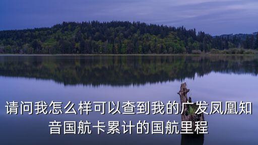 請問我怎么樣可以查到我的廣發(fā)鳳凰知音國航卡累計的國航里程