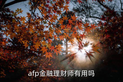 聯(lián)合貨幣理財(cái)師怎么樣，afp金融理財(cái)師有用嗎
