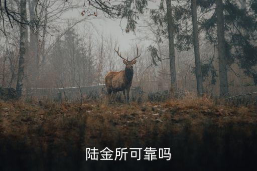 陸金所開(kāi)發(fā)工作怎么樣，陸金所這家公司怎么樣