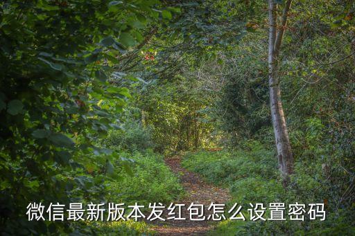 微信發(fā)紅包怎么設(shè)置密碼，微信紅包怎樣設(shè)置密碼