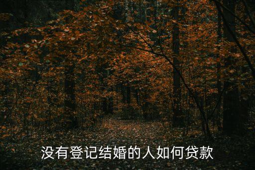 沒有登記結(jié)婚的人如何貸款