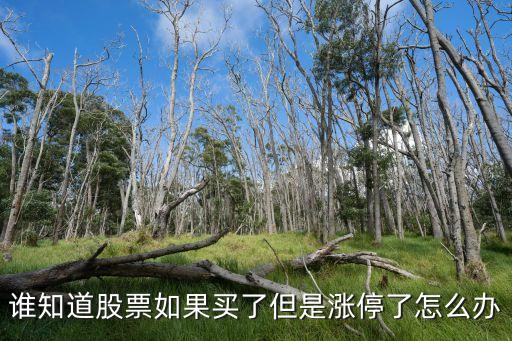 股票漲停板怎么辦，漲停了怎么辦炒股股票漲停了怎么辦