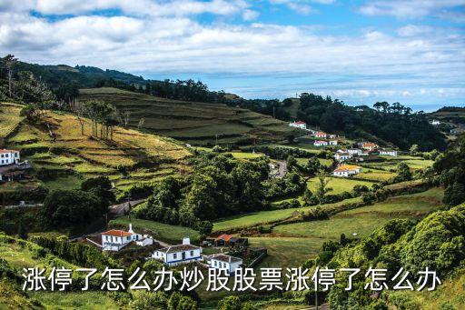 漲停了怎么辦炒股股票漲停了怎么辦