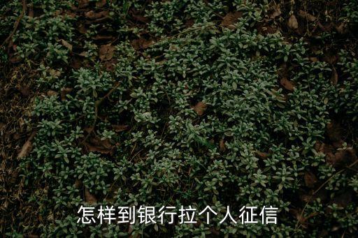 怎樣到銀行拉個(gè)人征信