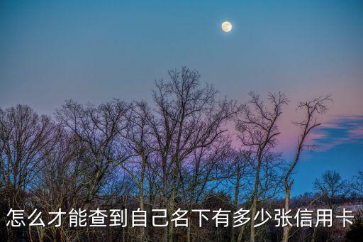 怎么才能查到自己名下有多少張信用卡