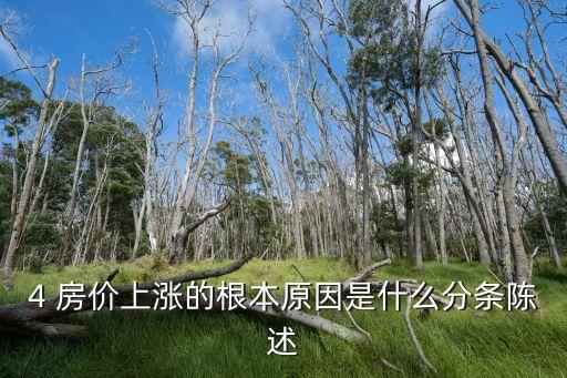 4 房價(jià)上漲的根本原因是什么分條陳述