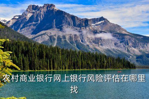 怎么找銀行評(píng)估，哪里可以找到銀行對(duì)一個(gè)企業(yè)信用風(fēng)險(xiǎn)評(píng)估的數(shù)據(jù)