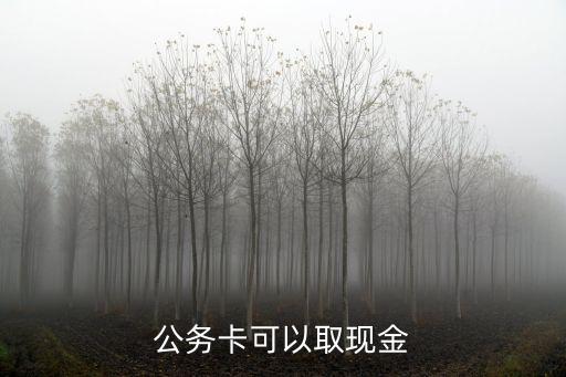 公務(wù)卡可以取現(xiàn)金