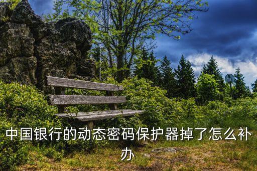 中國銀行的動態(tài)密碼保護器掉了怎么補辦