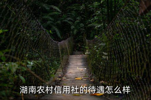 湖南信用社怎么樣，湖南農(nóng)村信用社的待遇怎么樣