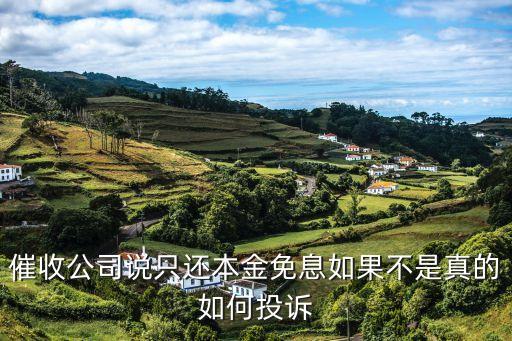 催收公司說只還本金免息如果不是真的如何投訴