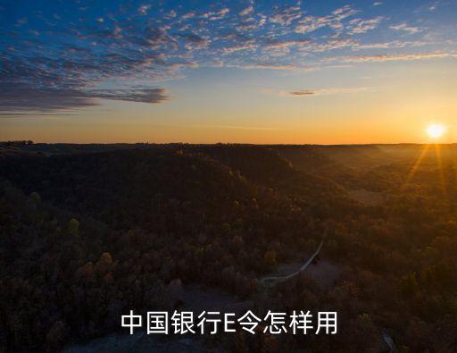 中銀e令第一次怎么用，想請(qǐng)問(wèn)下中國(guó)銀行的網(wǎng)銀怎么用呢我在中國(guó)銀行開通了網(wǎng)銀給