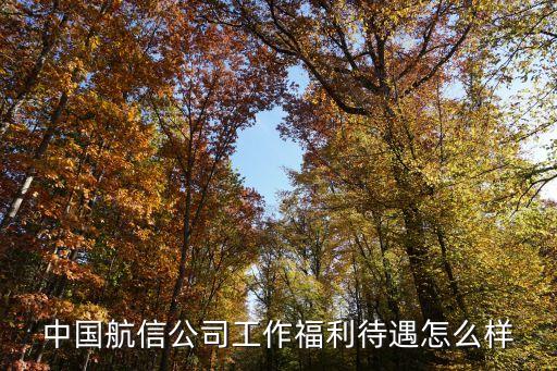 中國(guó)航信公司工作福利待遇怎么樣