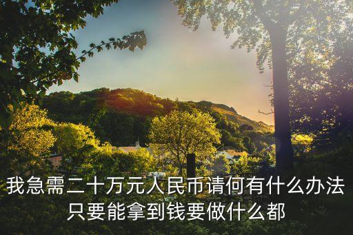 急需20萬怎么辦，急用錢20萬有什么辦法可以求各位大神指教