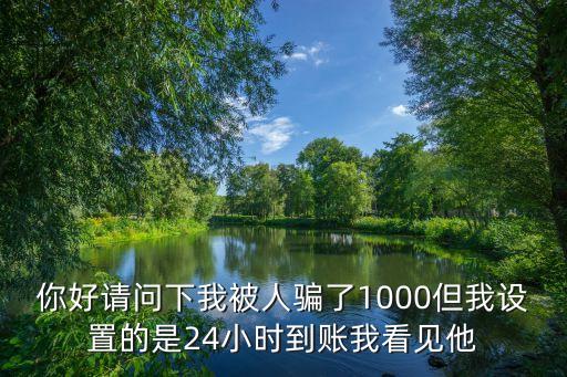 你好請問下我被人騙了1000但我設(shè)置的是24小時到賬我看見他