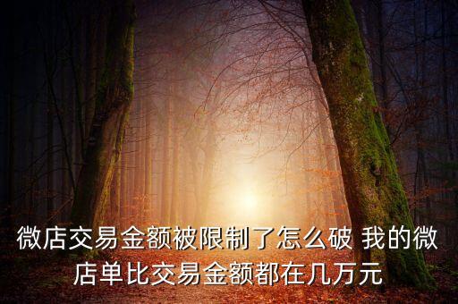 微店交易金額被限制了怎么破 我的微店單比交易金額都在幾萬元