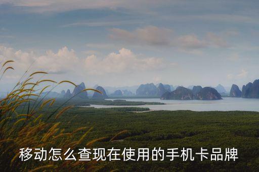 移動(dòng)怎么查現(xiàn)在使用的手機(jī)卡品牌