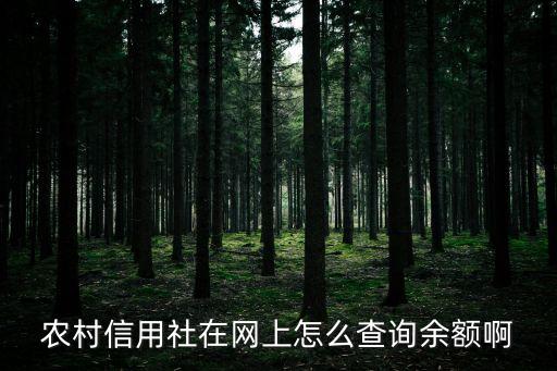湖北農(nóng)信社怎么查余額查詢，怎么查詢農(nóng)村信用社的帳戶余額