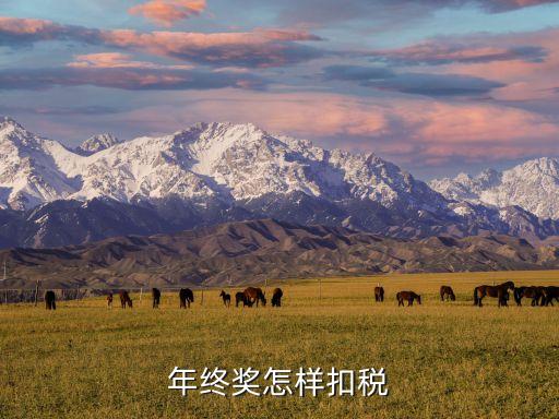 年終獎(jiǎng)金的稅怎么扣，年終獎(jiǎng)怎樣扣稅