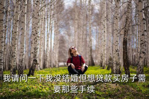 我請(qǐng)問一下我沒結(jié)婚但想貸款買房子需要那些手續(xù)