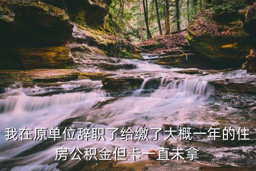 我在原單位辭職了給繳了大概一年的住房公積金但卡一直未拿