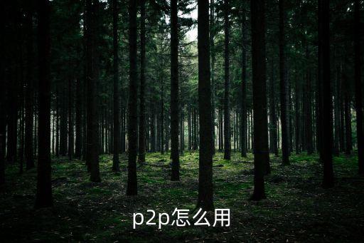 p2p怎么用 復(fù)雜嗎，p2p怎么用