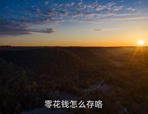 零花錢怎么存咯