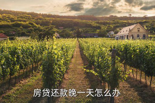 房貸還款晚一天怎么辦