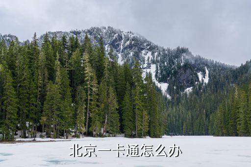 北京一卡通怎么辦