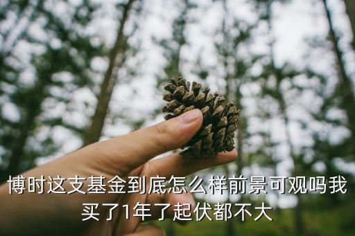 博時(shí)這支基金到底怎么樣前景可觀嗎我買(mǎi)了1年了起伏都不大