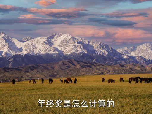 個(gè)人年終獎(jiǎng)怎么計(jì)算，年終獎(jiǎng)是怎么計(jì)算的