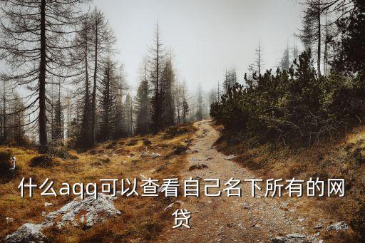 怎么查詢名下網(wǎng)貸，什么aqq可以查看自己名下所有的網(wǎng)貸