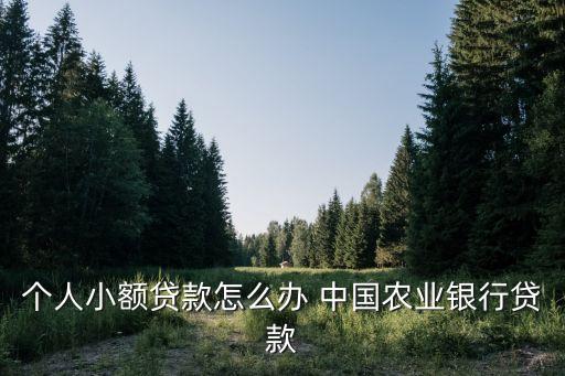 個(gè)人小額貸款怎么辦 中國農(nóng)業(yè)銀行貸款