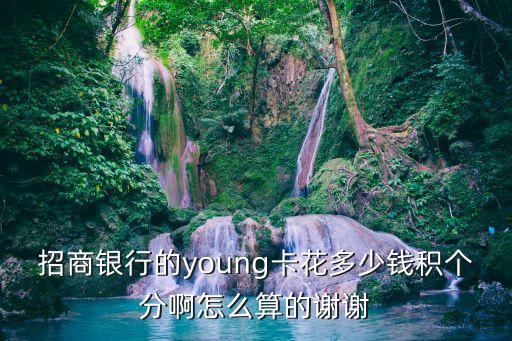 招商銀行的young卡花多少錢積個分啊怎么算的謝謝