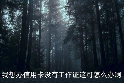 我想辦信用卡沒有工作證這可怎么辦啊