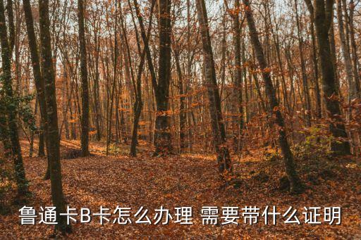 山東高速農(nóng)行魯通卡怎么辦理，山東高速公路ETC魯通卡怎么辦理