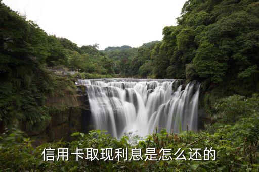 信用卡取現(xiàn)利息是怎么還的