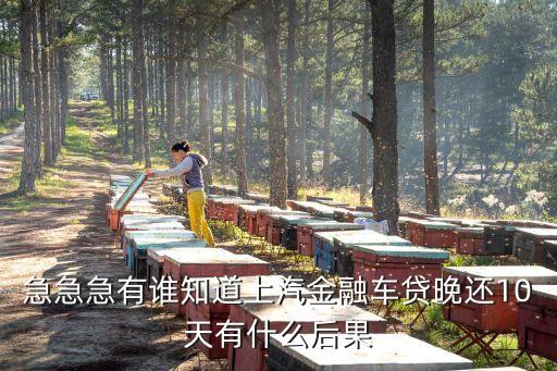 車貸晚了十天才交會怎么樣，急急急有誰知道上汽金融車貸晚還10天有什么后果