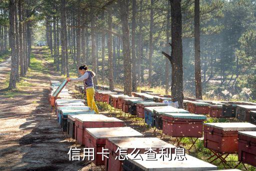 廣發(fā)信用卡利息怎么查，廣發(fā)信用卡刷了2萬5 還了9千 怎么算利息