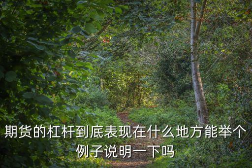 期貨的杠桿到底表現(xiàn)在什么地方能舉個(gè)例子說(shuō)明一下嗎