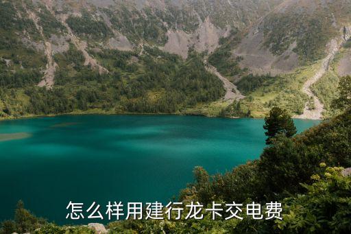 建行電卡怎么用，怎么樣用建行龍卡交電費
