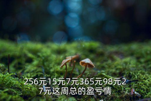 256元15元7元365元98元27元這周總的盈虧情