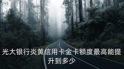 光大15萬上限怎么破，光大銀行炎黃信用卡金卡額度最高能提升到多少