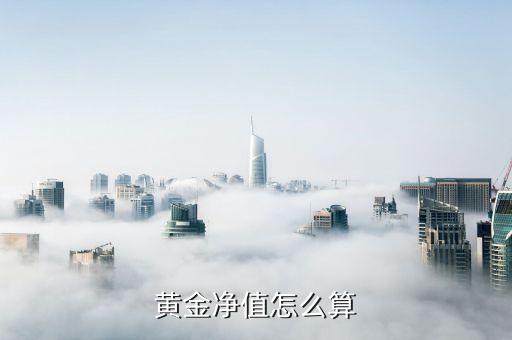 投資黃金怎么算份額，基金份額怎么算